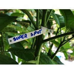 Sl�yfeetiketter sm� - vannfaste og holdbare